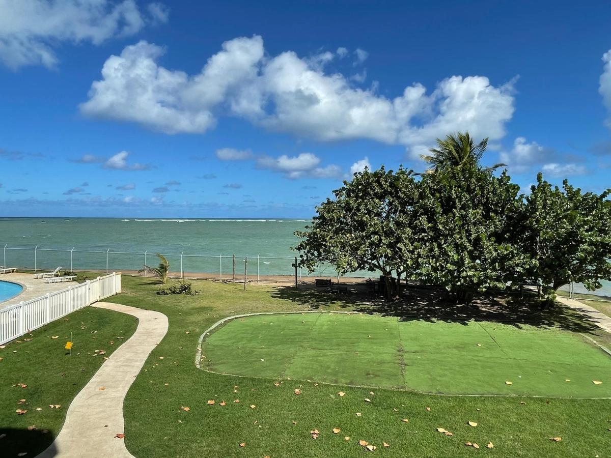 Costa Mar Beach Front Apartment Whith Pool Loiza Eksteriør billede