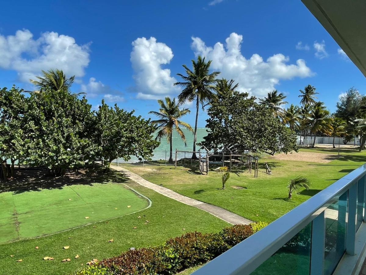 Costa Mar Beach Front Apartment Whith Pool Loiza Eksteriør billede
