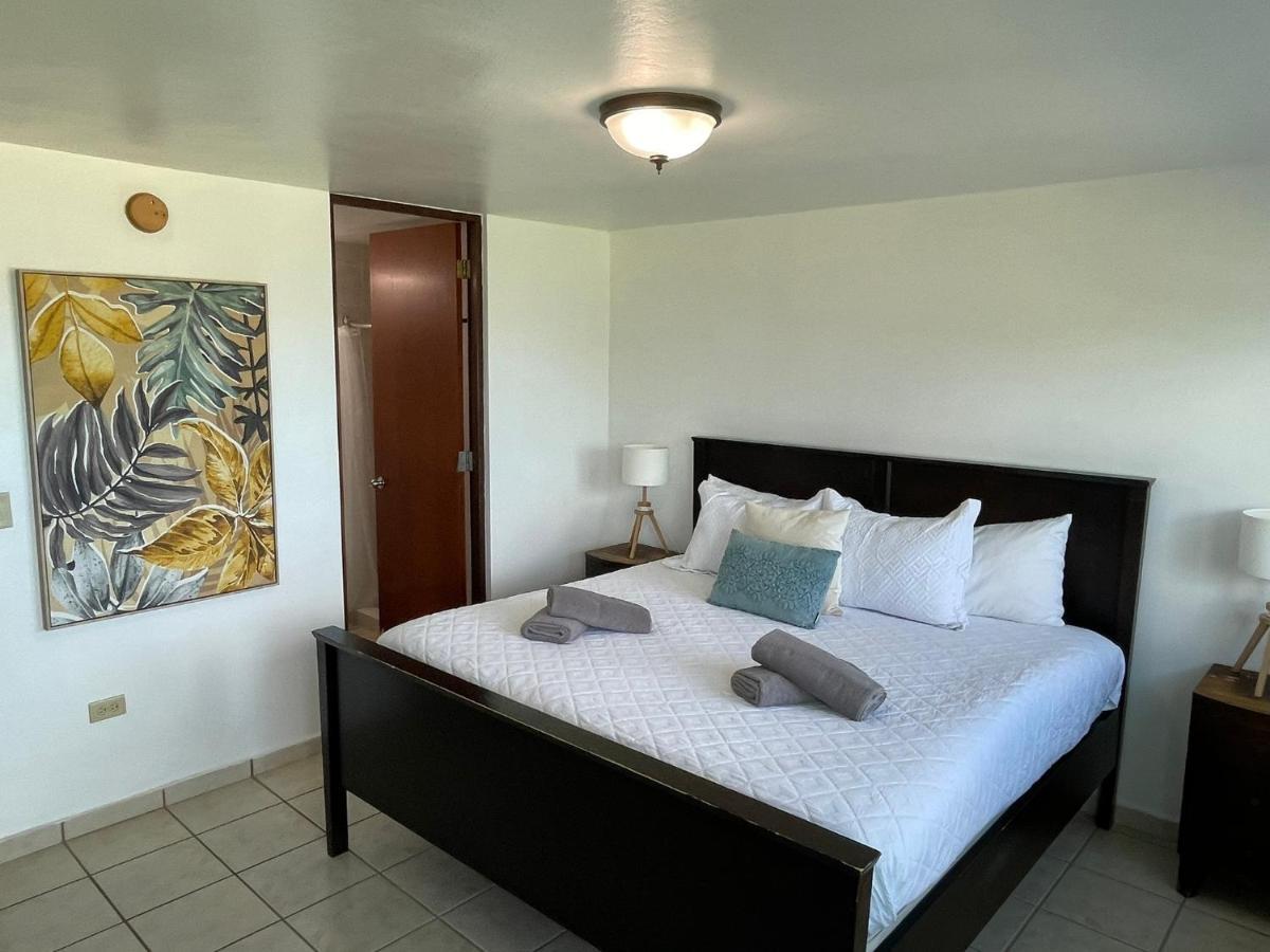 Costa Mar Beach Front Apartment Whith Pool Loiza Eksteriør billede